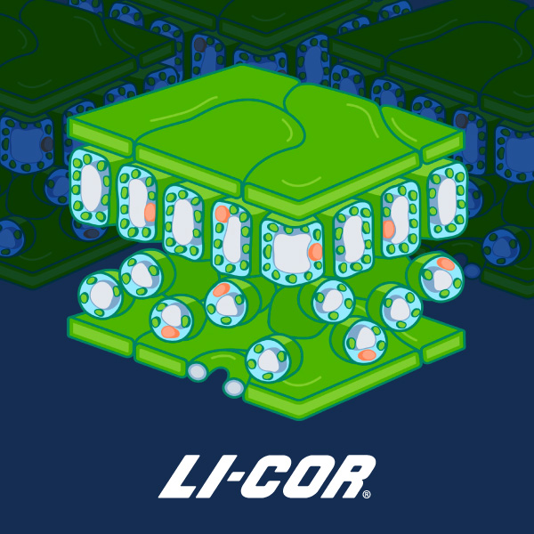 LI-COR Title Card